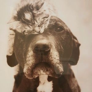 Meet your Posher, Svetlana